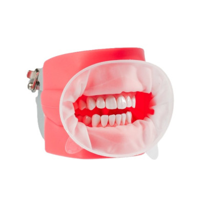 Retractor bucal Easygate